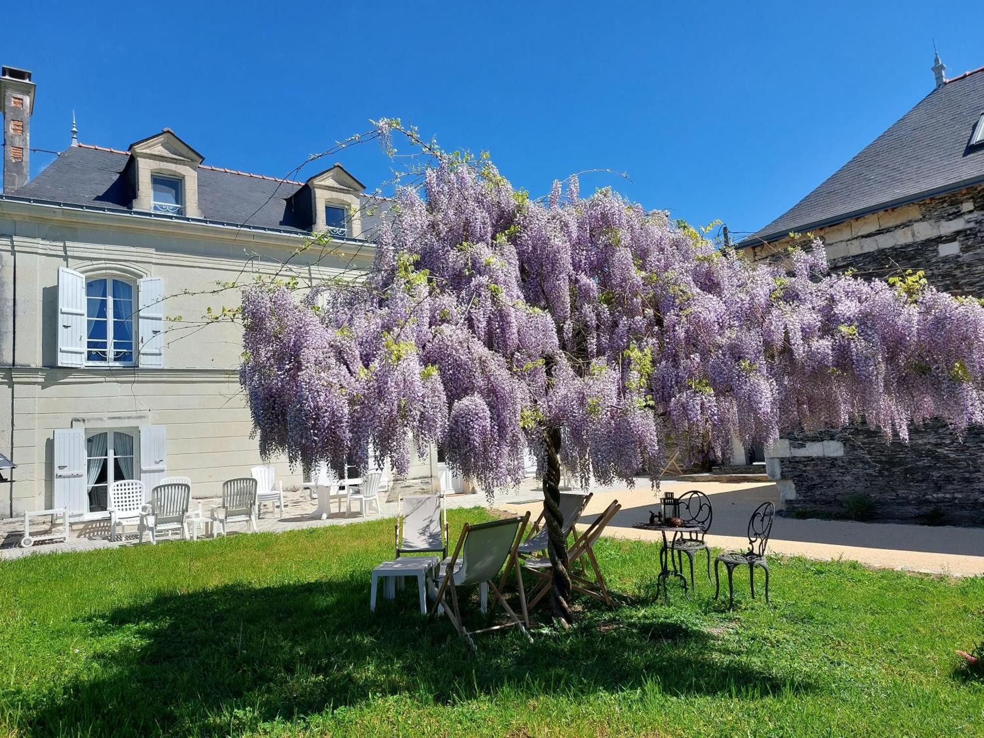 La Bohal' Loire Leilighet La Bohalle Eksteriør bilde